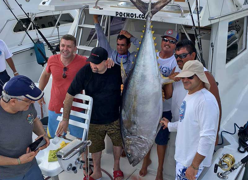 Big tuna with Capt. Andres Jimenez of Pochos Charters in Cabo