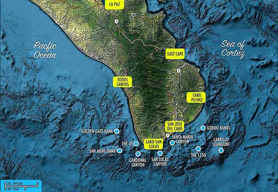 Topographic fishing locations map of Cabo San Lucas