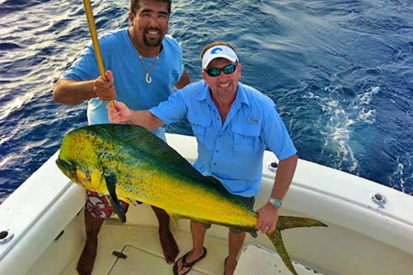 Dorado fishing in Cabo San Lucas